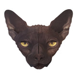 Spcat3.jpg_1