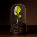 Sprout-Jar-Container-Spoon2.jpg