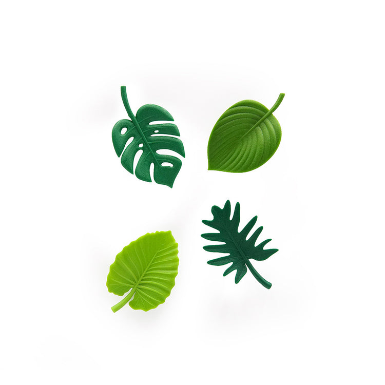 Tropical-Magnets3.jpg_1