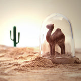 animal-parade3.jpg_1