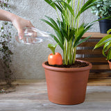 Care-it - Self-Watering Device