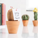 Cork Cactus Desktop Organiser