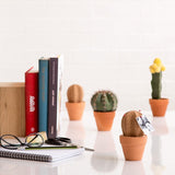 Cork Cactus
