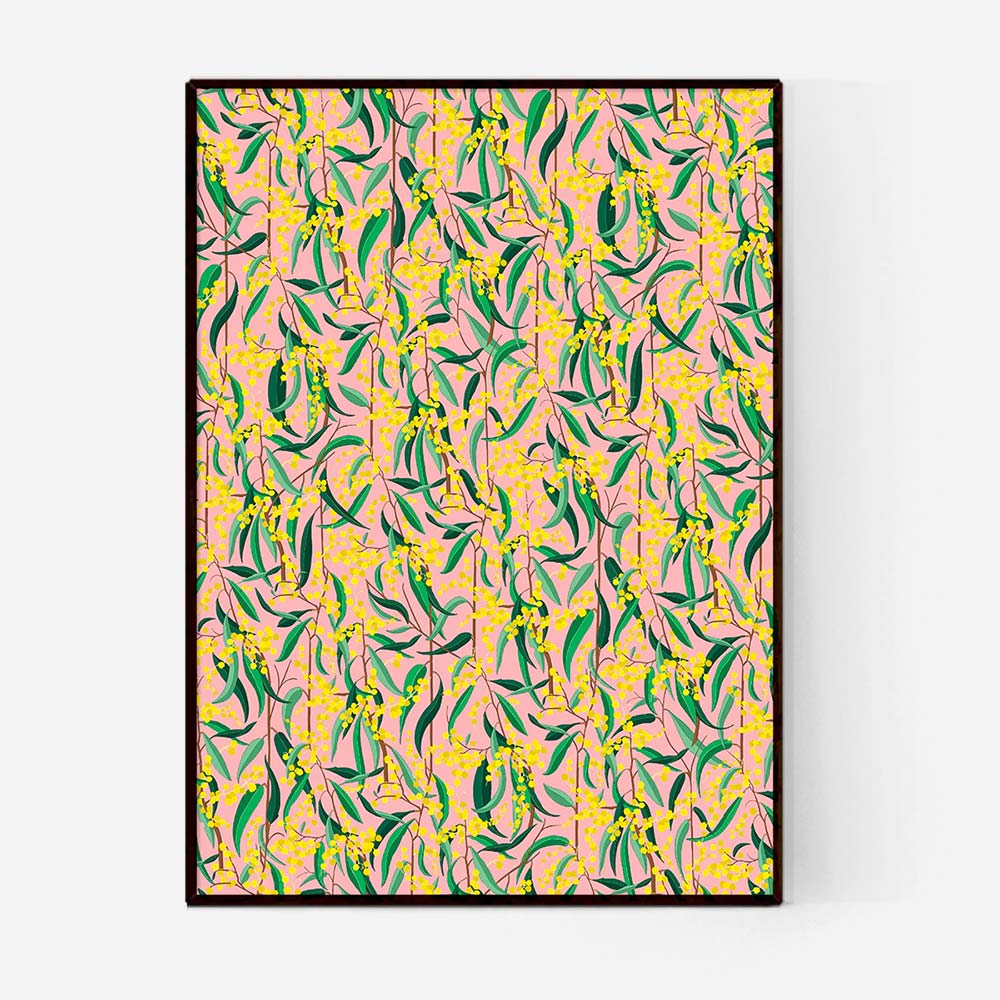 eucalyptus-yellow-blossom-pink-background.jpg_1