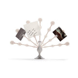 Freddy Feathers | Unique Gifts | gift ideas | design gifts