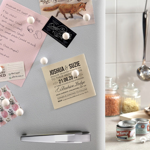 Fun fungi - Mushroom magnets