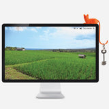 Ginger - Screen hook