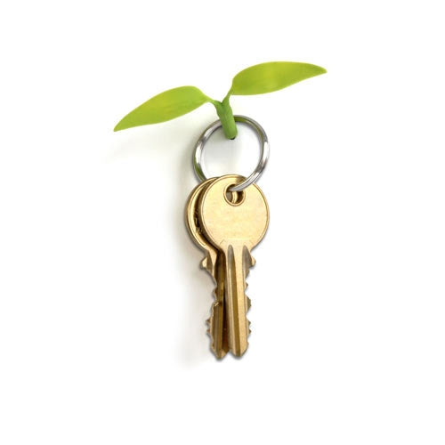 Leaf Hooks