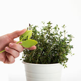 Leafers - Herb snips