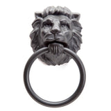 Lion\'s Head - towel holder