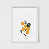 ornage-plums2.jpg