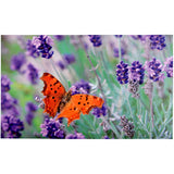 Printed Doormat - Butterfly