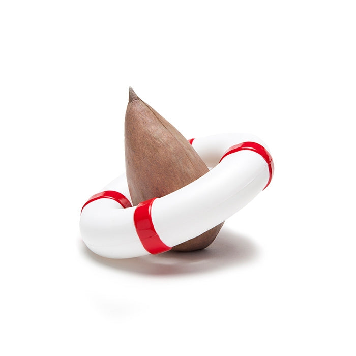 Seed Guard - Seed Growing Device