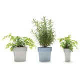 Slim - Flower Pot
