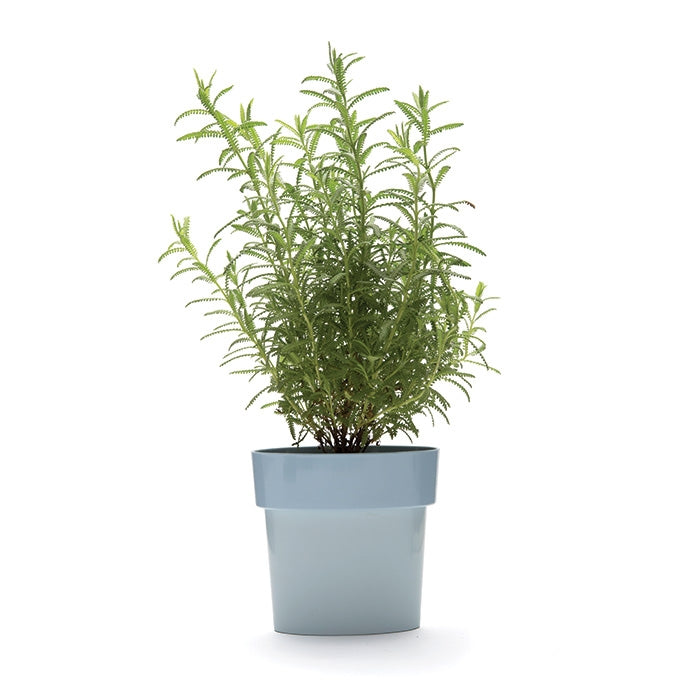 Slim - Flower Pot