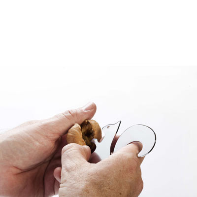 Squirrel nut cracker1