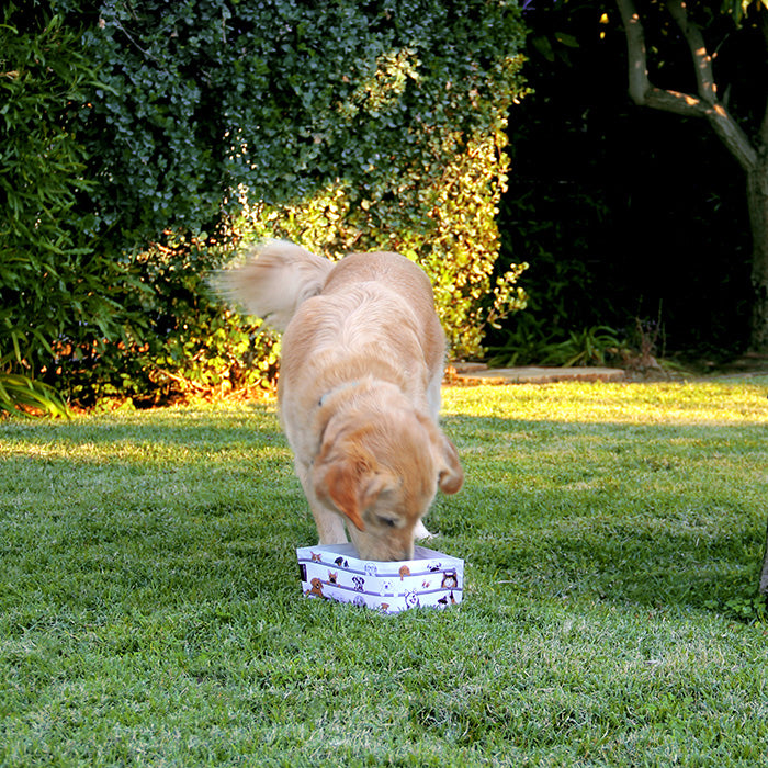 Wuff'n'Go - Dog Travel Bowl - Set of 2