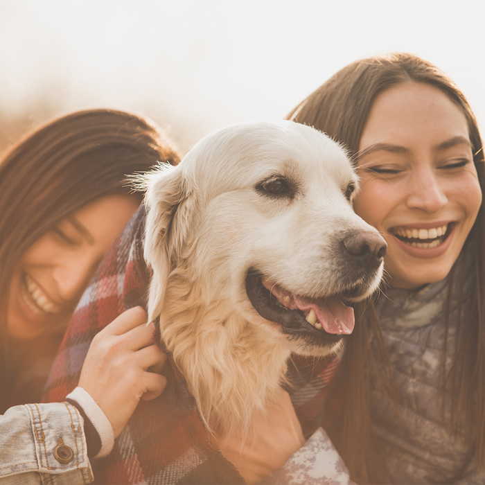 10 Best Creative Gifts for the Ultimate Animal Lovers