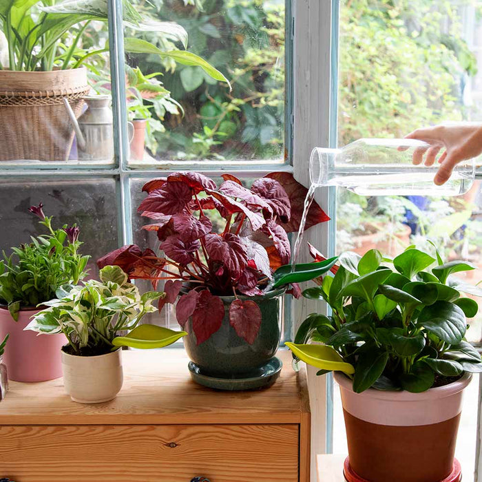 Unique Indoor Gardening Accessories You Must Have