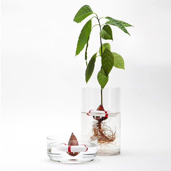 Cute Fun Touches to Your Living Room
