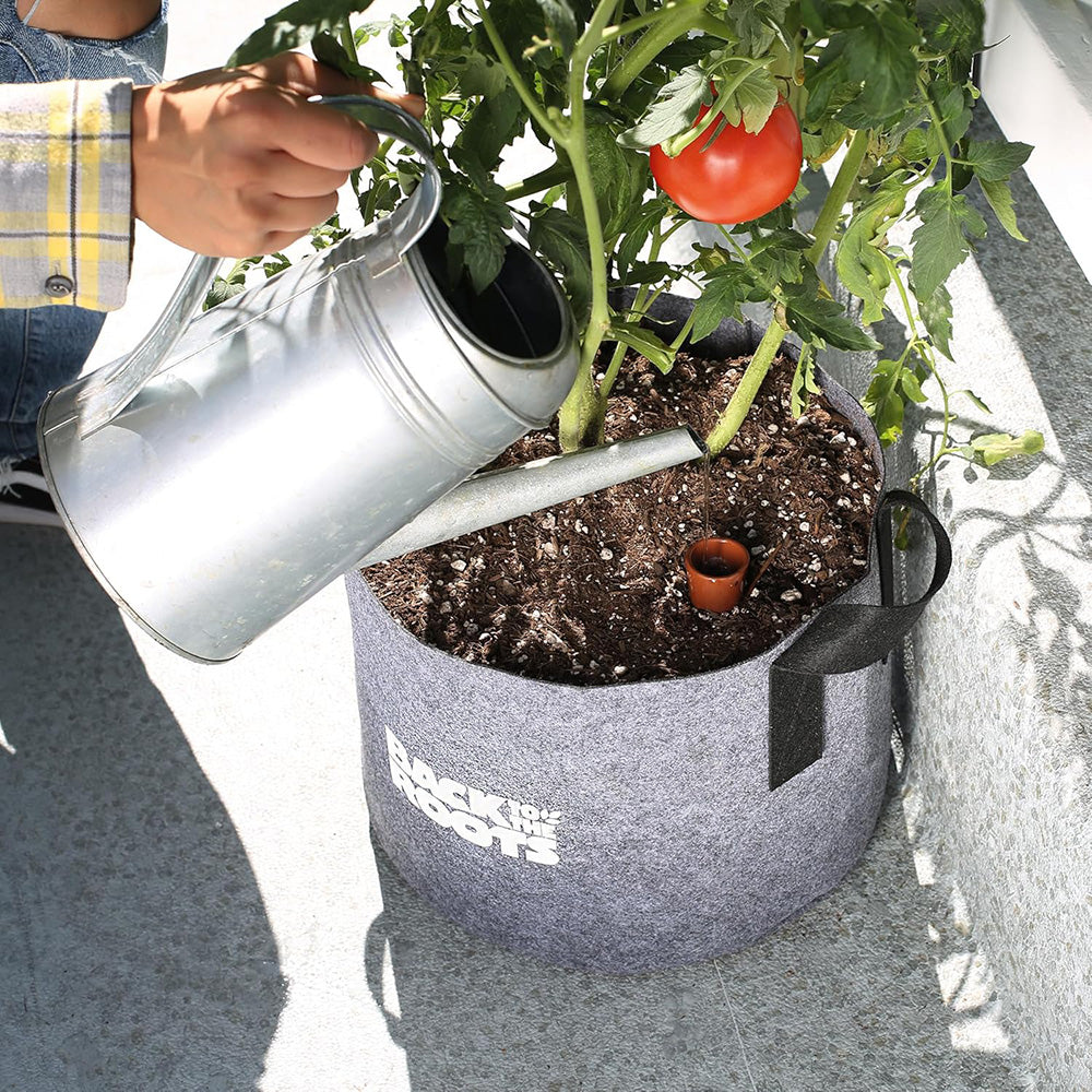 Self-Watering Terracotta Olla Pot