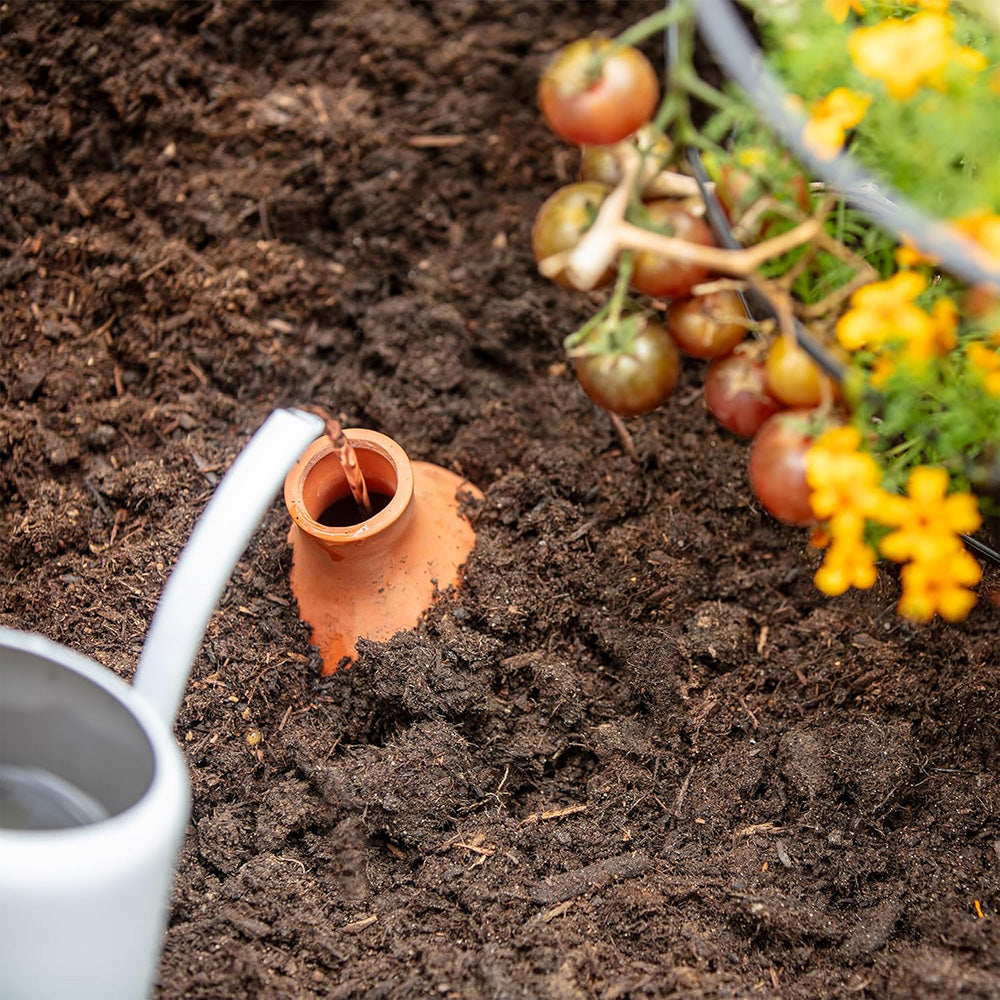 Self-Watering Terracotta Olla Pot