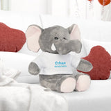 Personalized Plush Toy with T-Shirt
