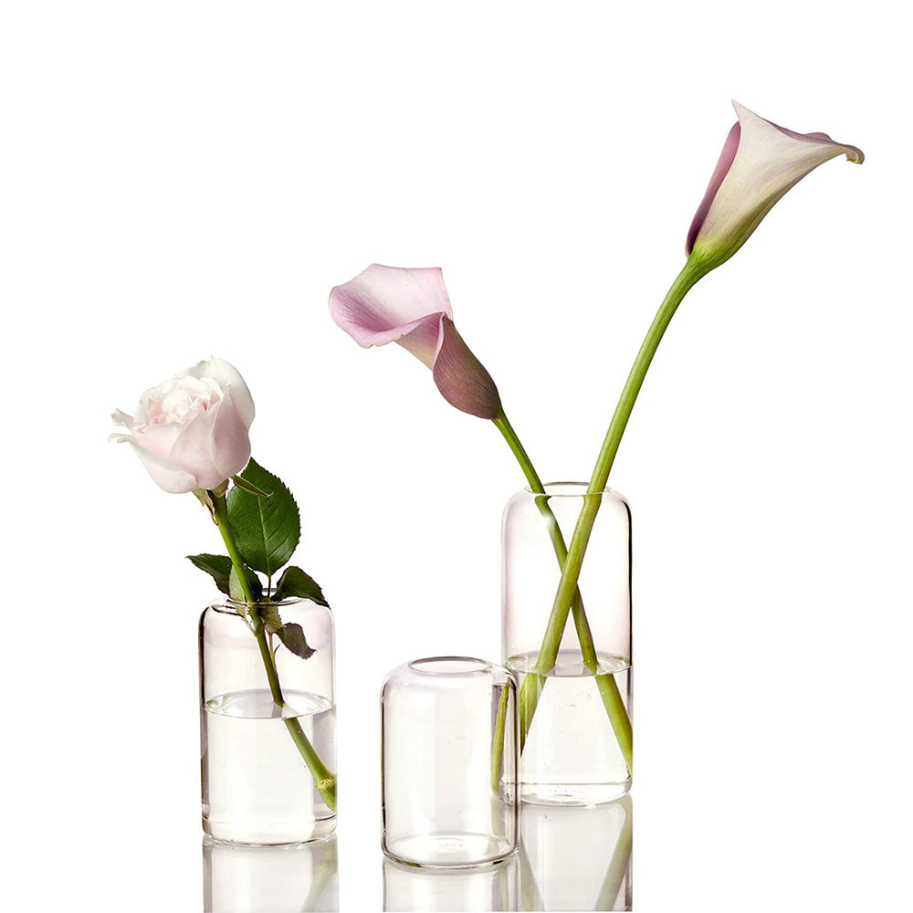 Glass Bud Vases,Pack of 3 Modern Decorative Small Miniature Flower