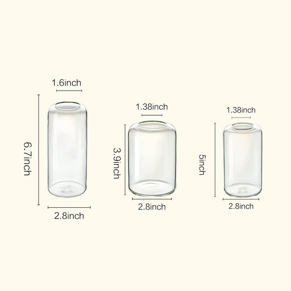 Minimalist Small Clear Bud Vases Set of 3 - transparent