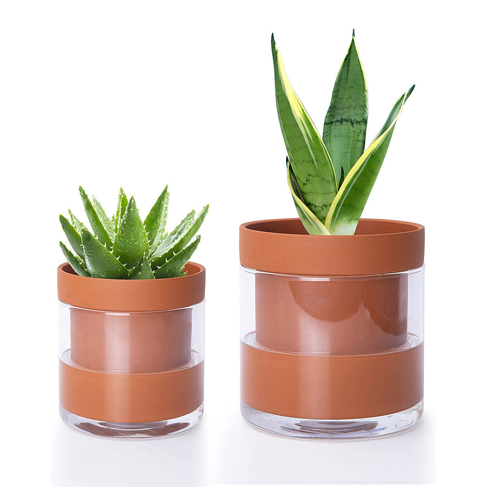 succulents in self watering pots Self Watering Planter Pots 2 Pcs