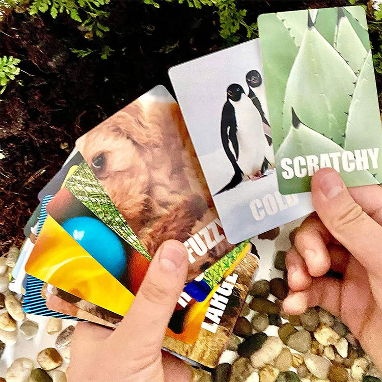 Find and Seek Scavenger Hunt Game