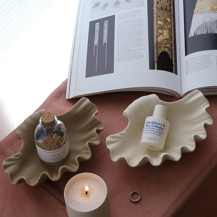Sea Shell Jewelry Holder