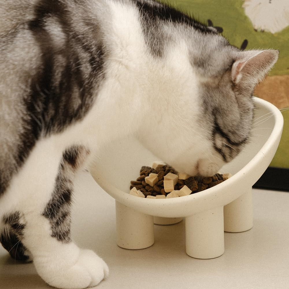 Ceramic Cat‘s Bowl