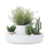 Fountain Planter & Organizer