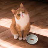 Goldfish Ceramic Cat Bowl