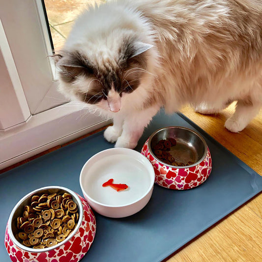 Goldfish Ceramic Cat Bowl