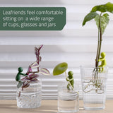 Leafriend Plant Propagation Buddy