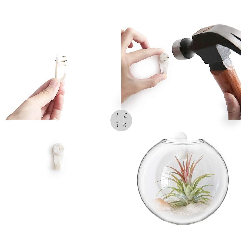 wall hanging glass planter Wall Hanging Glass Vase Set of 2 – Animi Causa