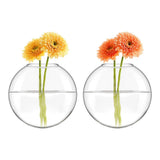 Wall Hanging Glass Vase Set of 2