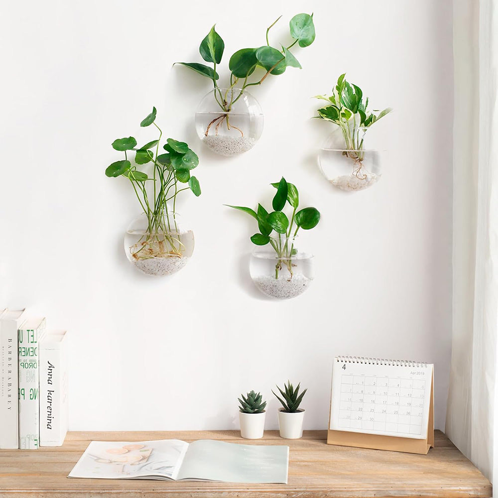 hanging planter glass Wall Hanging Glass Vase Set of 2 – Animi Causa