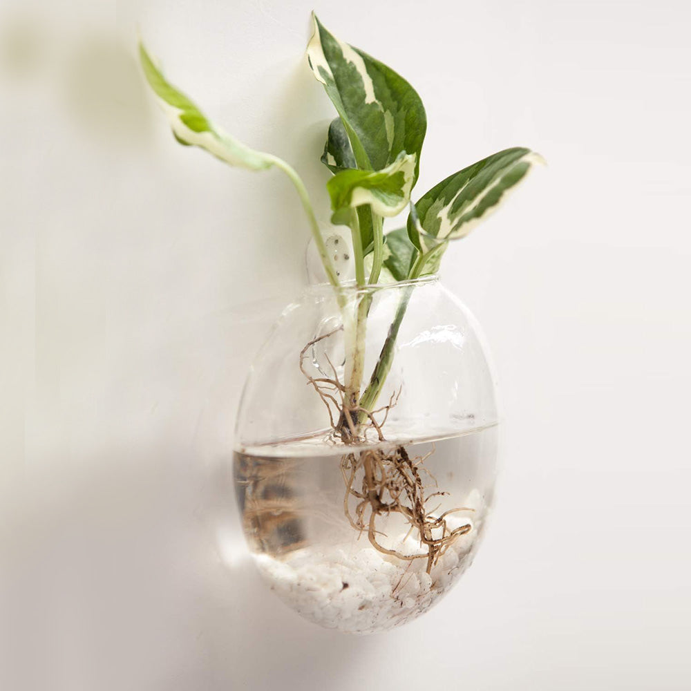 wall hanging glass planter Wall Hanging Glass Vase Set of 2 – Animi Causa