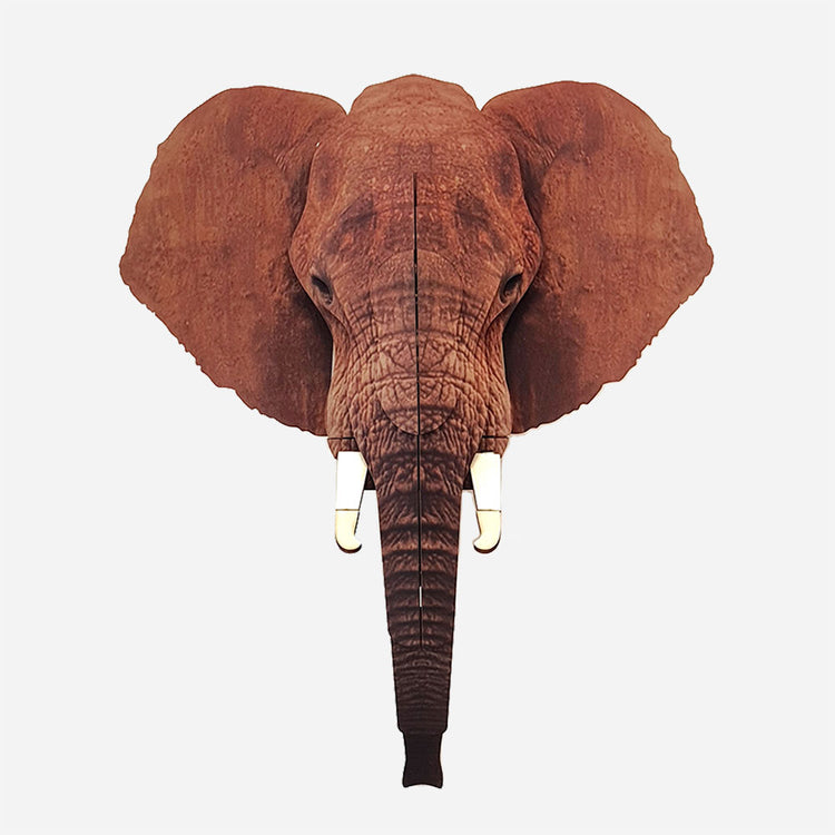 Elephant2.jpg_1