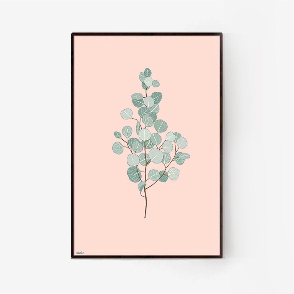 Eucalyptus-branch-grey.jpg_1
