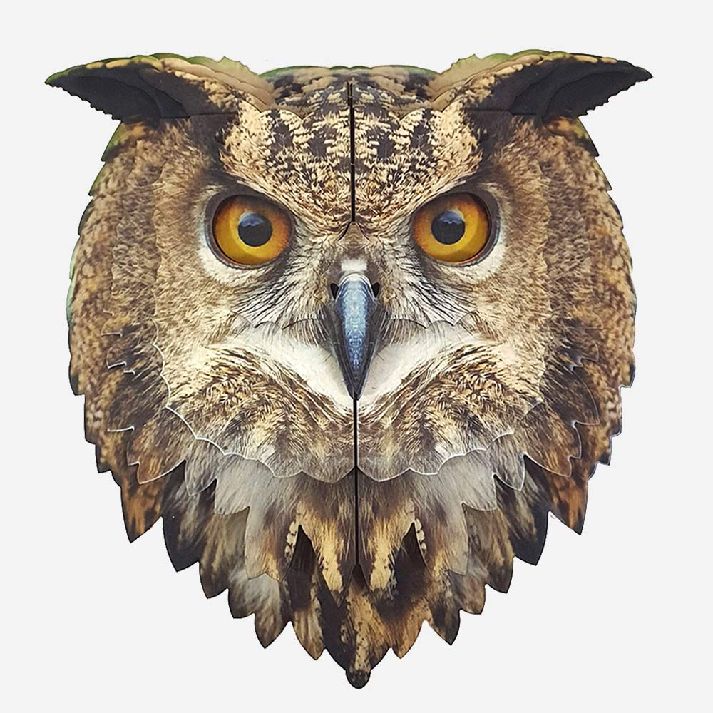 Owl2.jpg_1