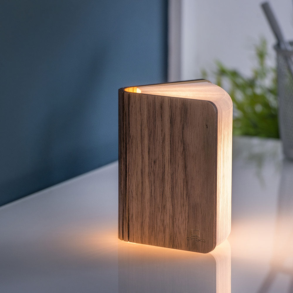 Smart-Book-Light-mini-wood5.jpg