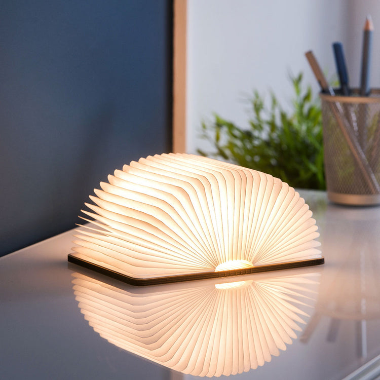 Smart-Book-Light-mini-wood6.jpg