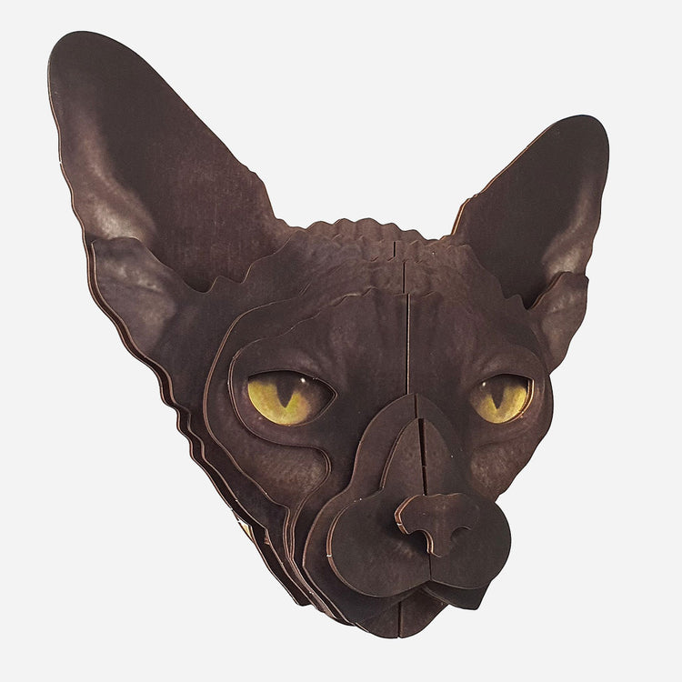 Spcat2.jpg_1