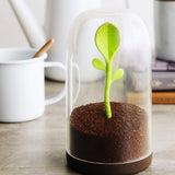 Sprout-Jar-ContainerSpoon.jpg