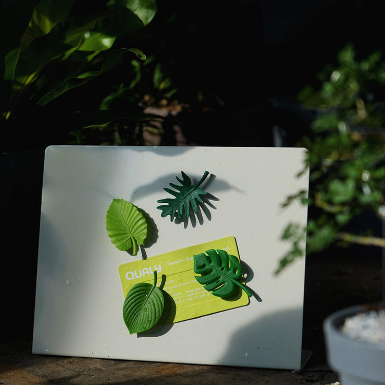 Tropical-Magnets.jpg