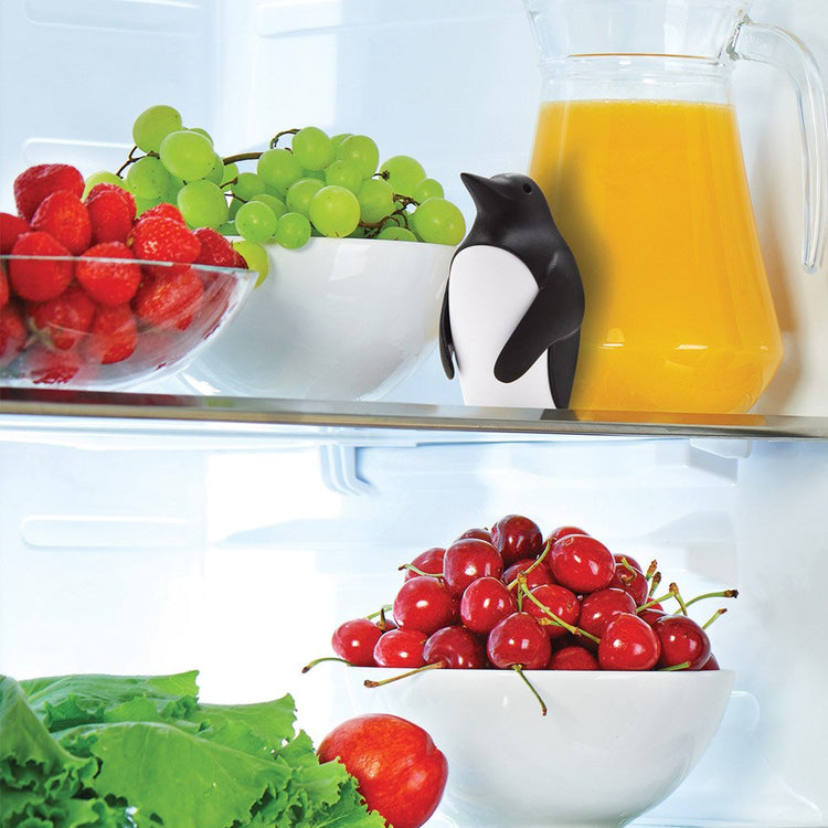 Chill Bill - Absorbs Fridge Odours